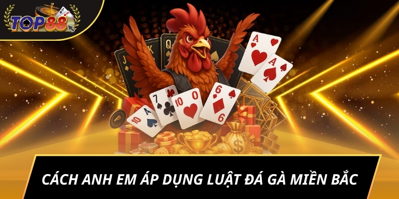 Cách anh em áp dụng Luật đá gà miền Bắc