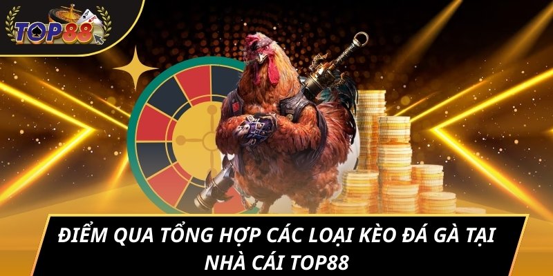 Điểm qua tổng hợp các loại kèo đá gà tại nhà cái TOP88