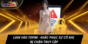ảnh đại diẹn