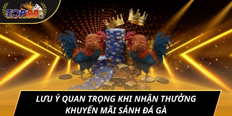 Lưu ý quan trọng khi nhận thưởng khuyến mãi sảnh đá gà