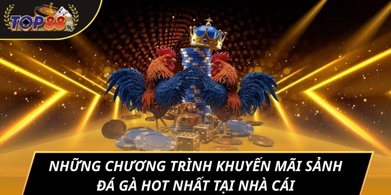 Những chương trình khuyến mãi sảnh đá gà hot nhất tại nhà cái