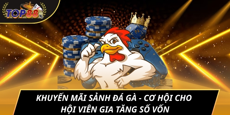 Sơ lược thông tin khuyến mãi sảnh đá gà TOP88