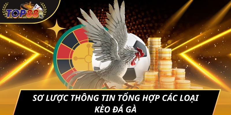 Sơ lược thông tin tổng hợp các loại kèo đá gà