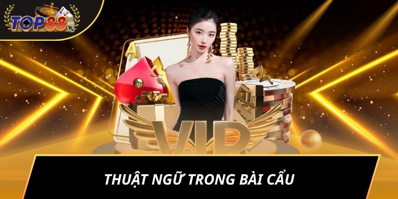 Thuật ngữ trong Bài cẩu