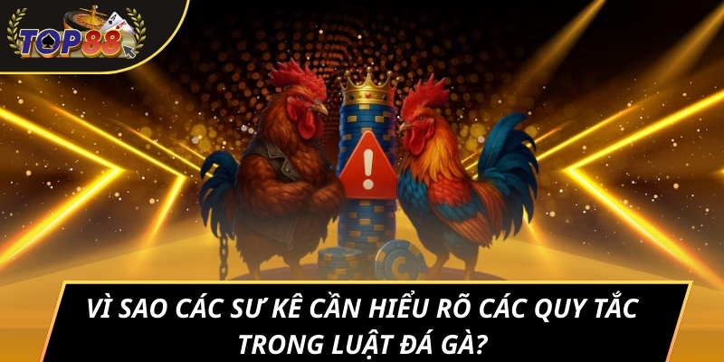 Vì sao các sư kê cần hiểu rõ các quy tắc trong luật đá gà?